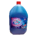 Lavanda.webp