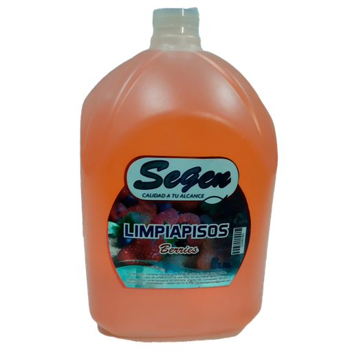 [LS50312] Limpiapisos Segen 5 Lts